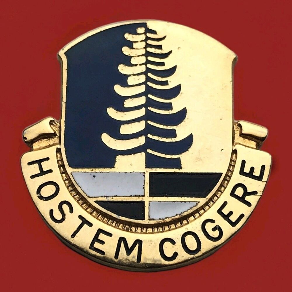 319th Military Intelligence Battalion Unit Crest Hostem Cogere USA Army US